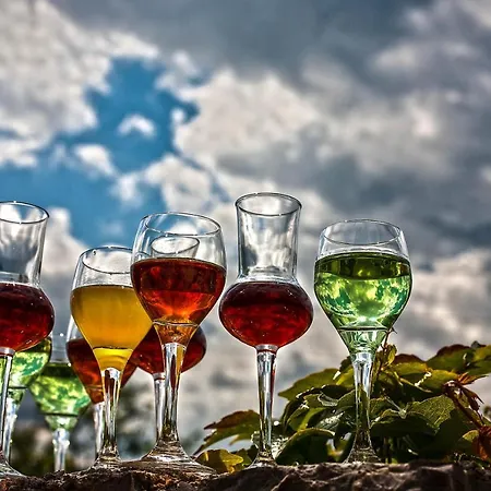 Luksuzni šator Glamping Kranjc *