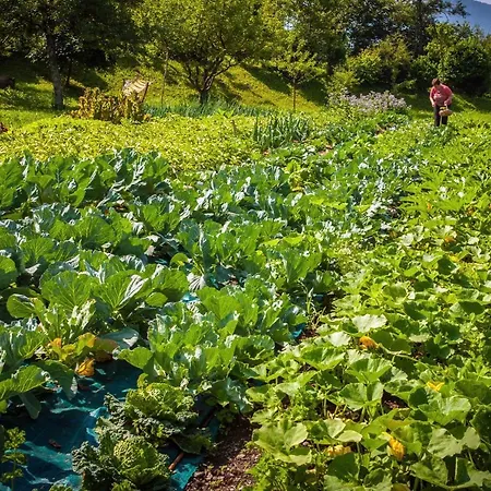 Luksuzni šator Glamping Kranjc *
