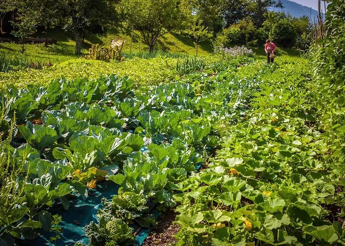 Luksustelt Glamping Kranjc *
